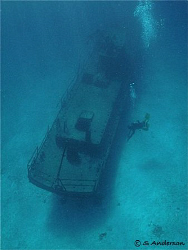 Our divemaster in search of lunch, this photo was taken i... by Steven Anderson 